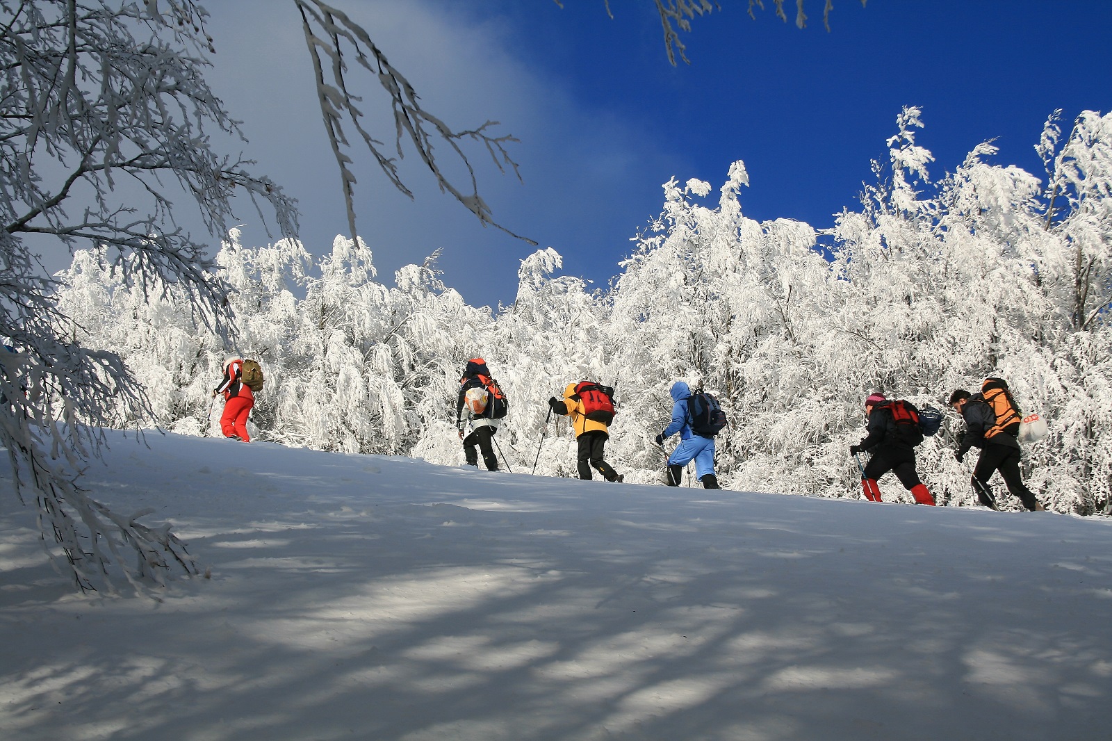 Ciaspolare sulla Montagna Pistoiese